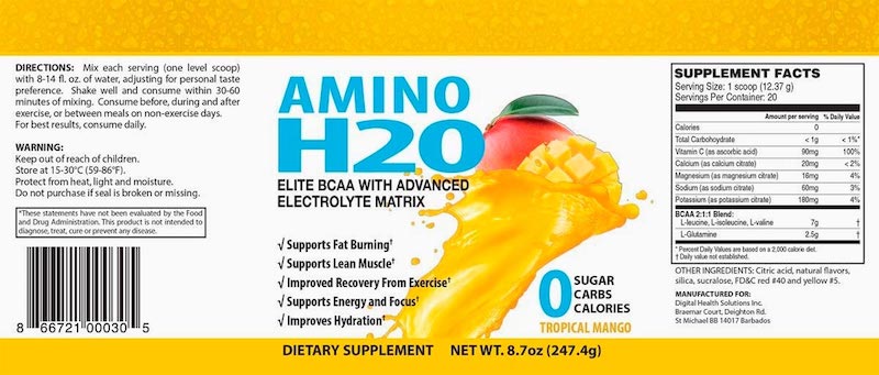 Amino H2O Supplement Facts