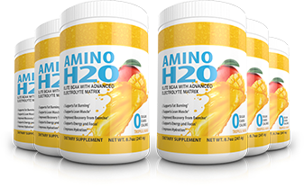 Amino H2O Supplement